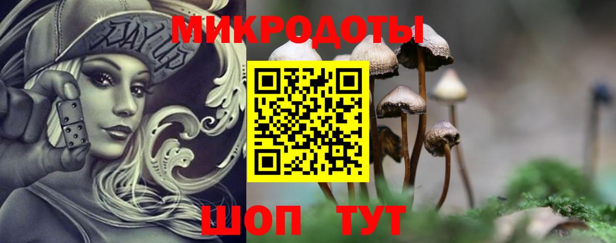 Галлюциногенные грибы Psilocybe  Галлюциногенные грибы мухоморы  Вход с VPN  Кызыл 
